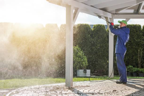 Best Fence Cleaning  in Black Forest, CO